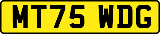 MT75WDG