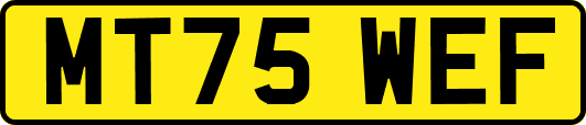 MT75WEF
