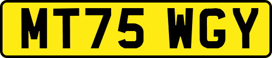 MT75WGY