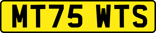 MT75WTS