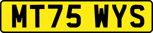 MT75WYS