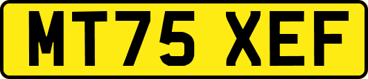 MT75XEF