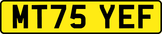 MT75YEF