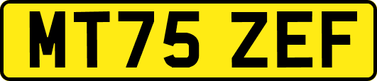 MT75ZEF