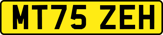 MT75ZEH