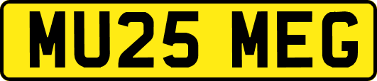 MU25MEG