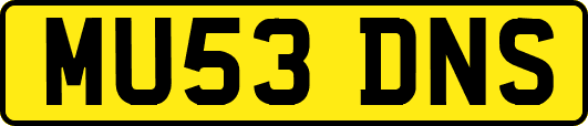 MU53DNS