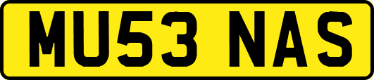 MU53NAS