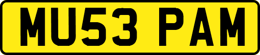 MU53PAM