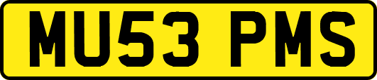 MU53PMS