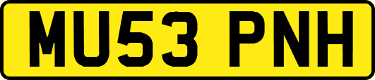 MU53PNH