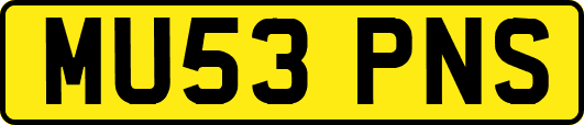 MU53PNS