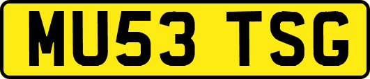 MU53TSG