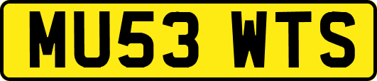 MU53WTS