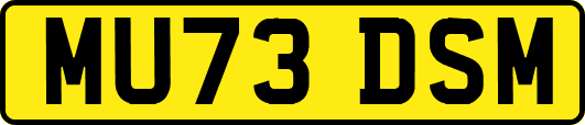 MU73DSM