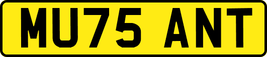 MU75ANT
