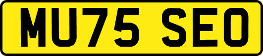 MU75SEO
