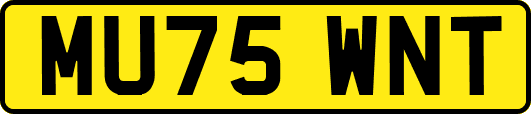MU75WNT