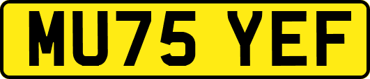 MU75YEF