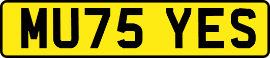 MU75YES