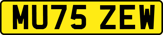 MU75ZEW