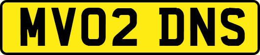 MV02DNS
