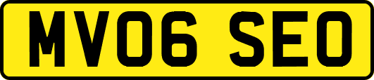 MV06SEO