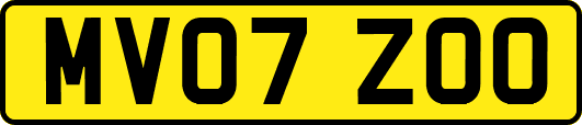 MV07ZOO