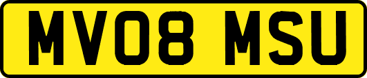 MV08MSU