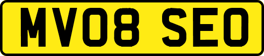 MV08SEO