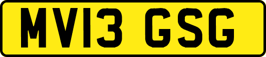 MV13GSG