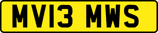 MV13MWS