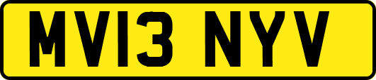 MV13NYV