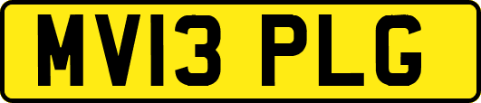 MV13PLG