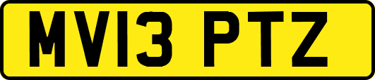 MV13PTZ