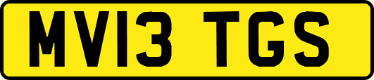 MV13TGS