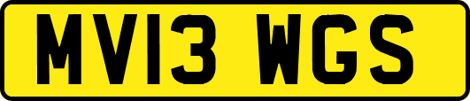 MV13WGS