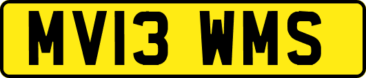 MV13WMS