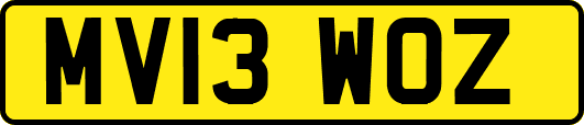 MV13WOZ