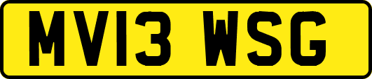 MV13WSG