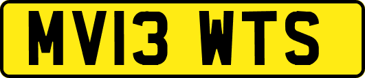 MV13WTS