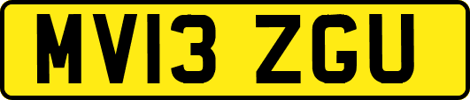 MV13ZGU