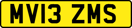 MV13ZMS