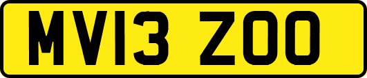 MV13ZOO