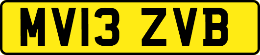 MV13ZVB