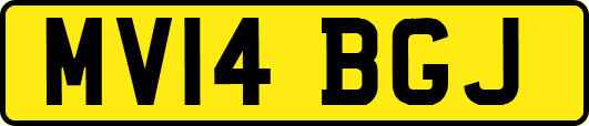 MV14BGJ