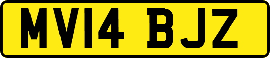 MV14BJZ