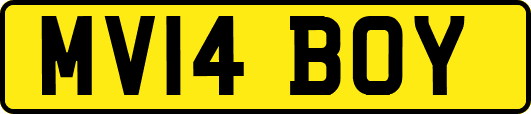 MV14BOY
