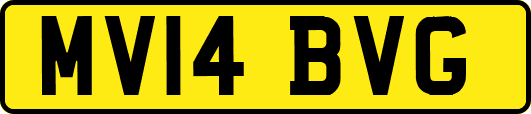 MV14BVG