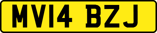MV14BZJ